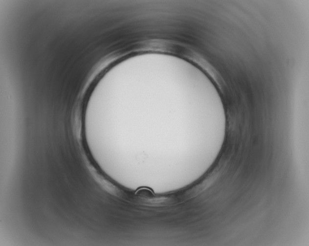 X0000111371131200907311028