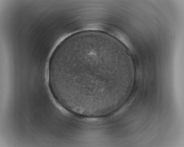 X0000111371132200907311028