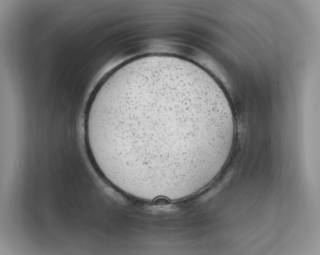 X0000111371133200907311028