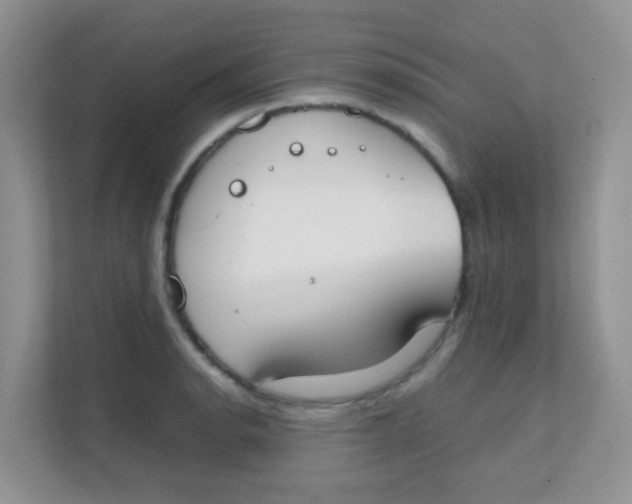 X0000111371134200907311028