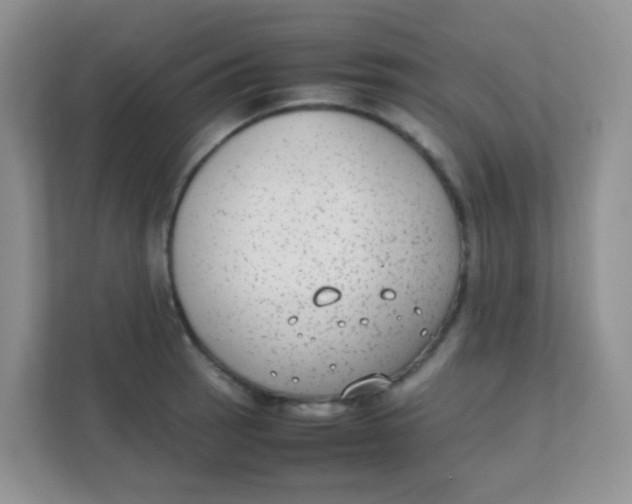 X0000111371137200907311028