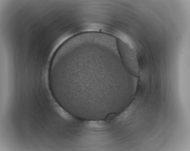 X0000111371138200907311028