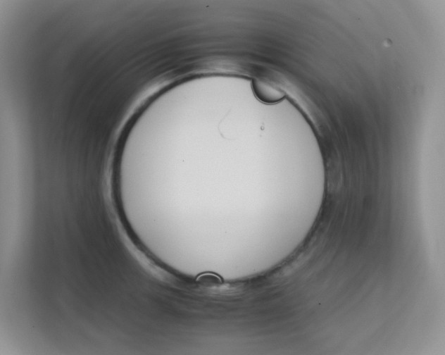 X0000111371139200907311028