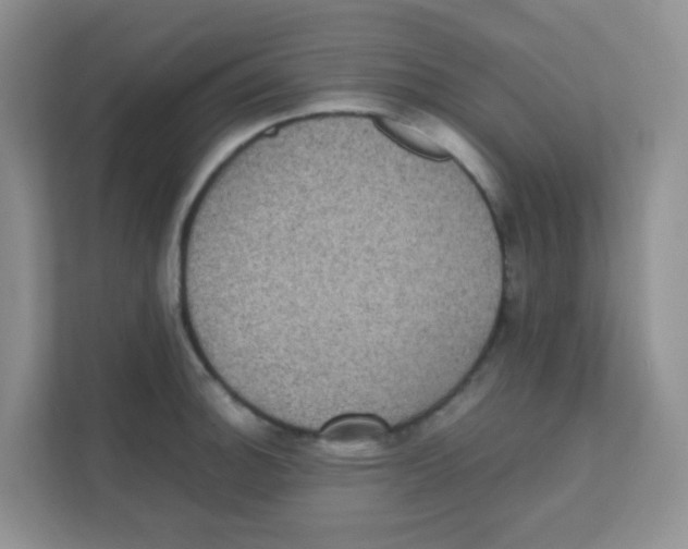 X0000111371140200907311028