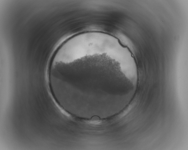 X0000111371141200907311028