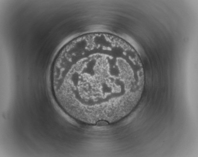 X0000111371142200907311028