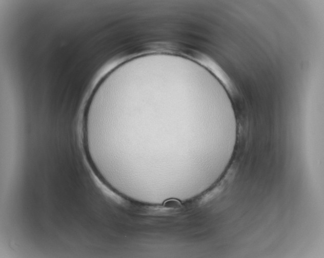 X0000111371143200907311028