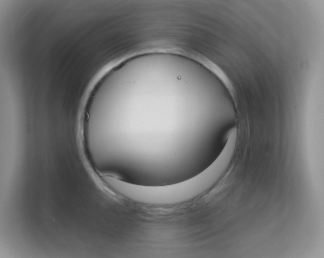 X0000111371144200907311028