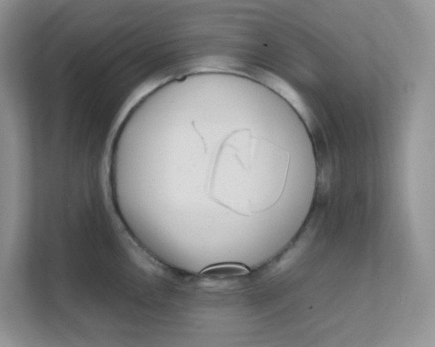 X0000111371146200907311028