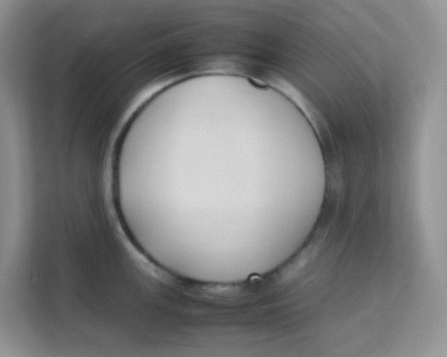 X0000111371147200907311028