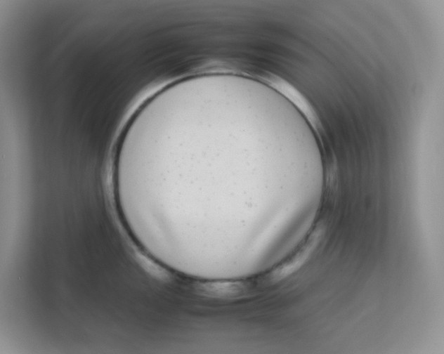 X0000111371149200907311028