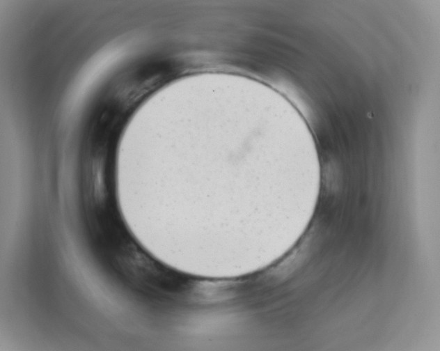 X0000111371150200907311028