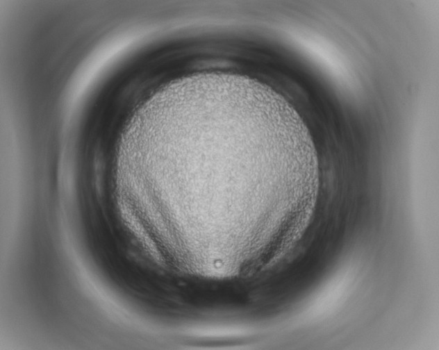 X0000111371151200907311028