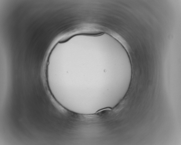 X0000111371152200907311028