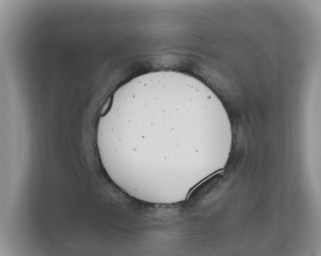 X0000111371153200907311027