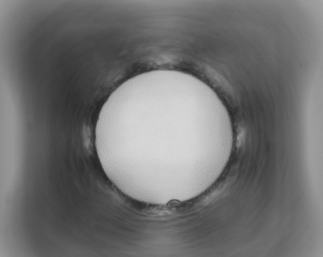 X0000111371156200907311027