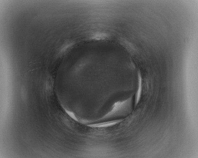 X0000111371158200907311027