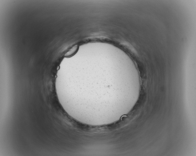 X0000111371159200907311027