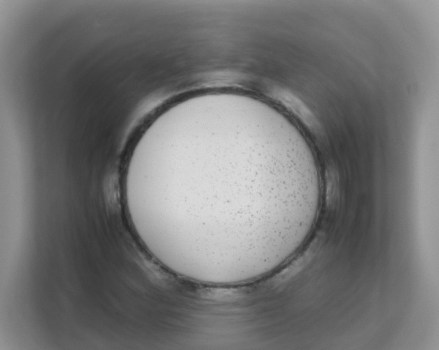 X0000111371164200907311027