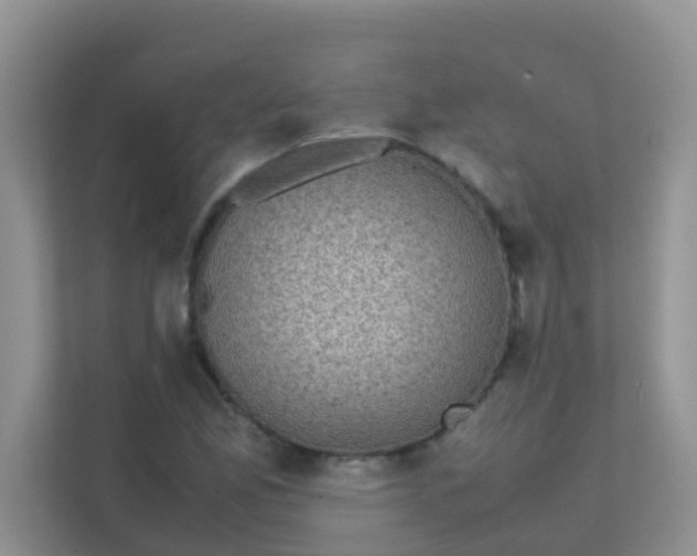 X0000111371165200907311027