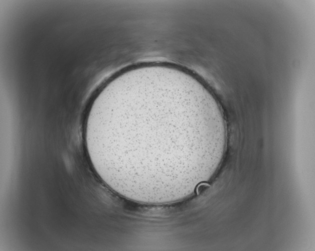 X0000111371167200907311027