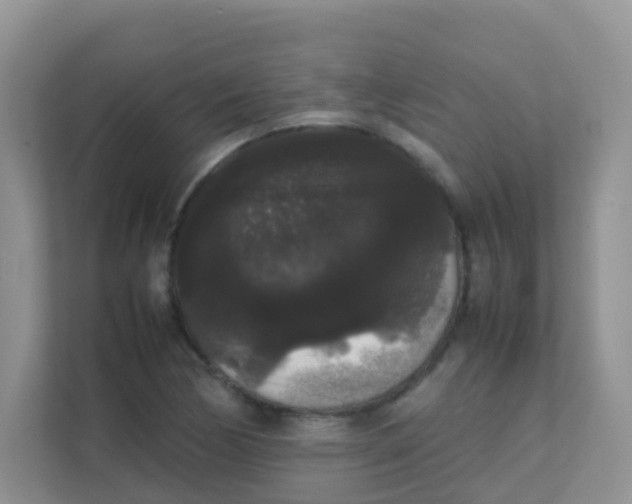 X0000111371170200907311027