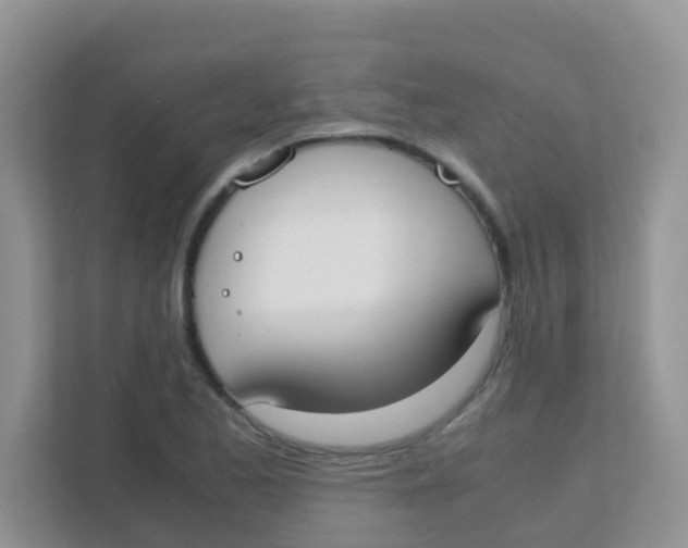 X0000111371173200907311027