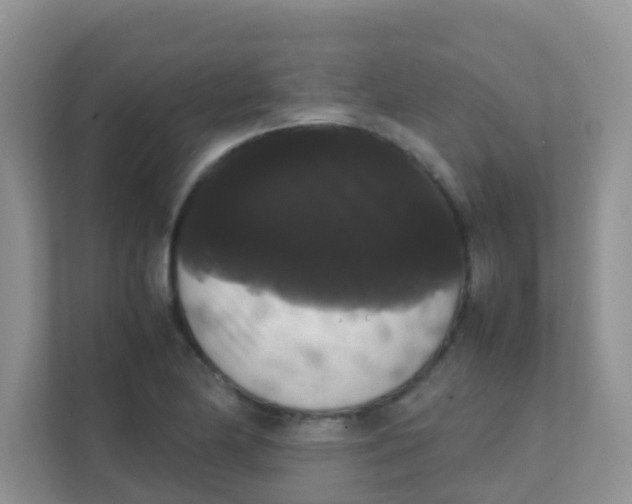 X0000111371174200907311027