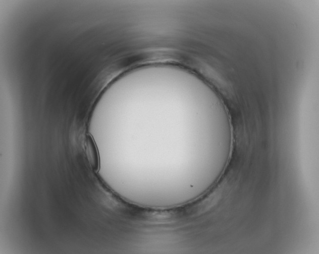 X0000111371177200907311027