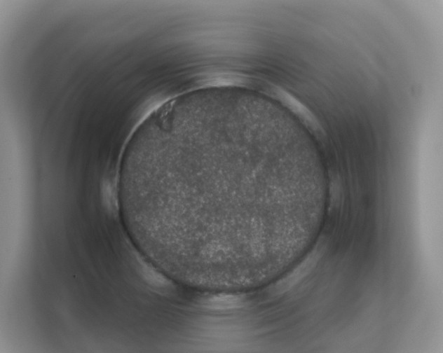 X0000111371178200907311027