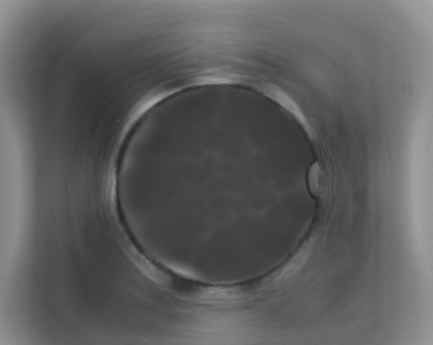 X0000111371179200907311027