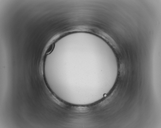 X0000111371180200907311027