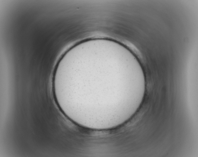 X0000111371183200907311027