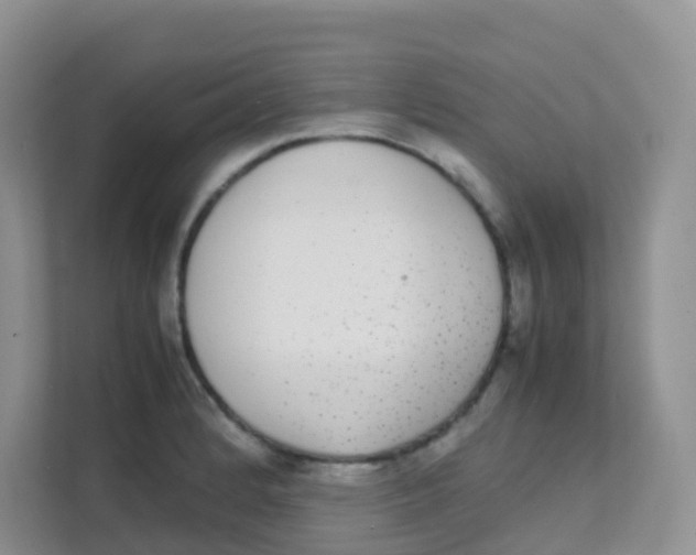 X0000111371184200907311027