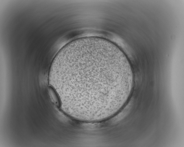 X0000111371185200907311027