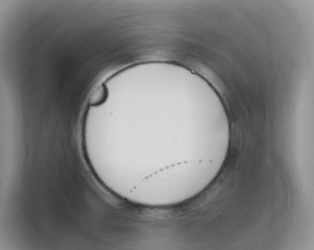 X0000111371187200907311027