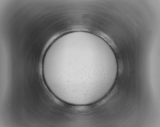 X0000111371188200907311027