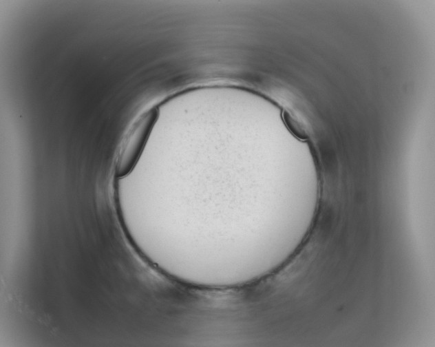 X0000111371189200907311027