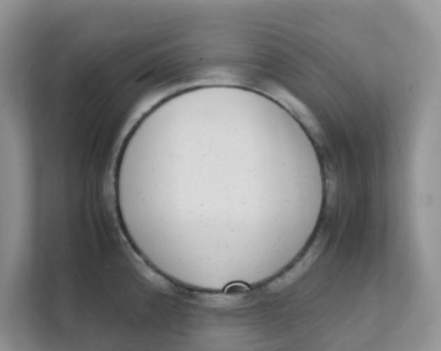 X0000111371192200907311027