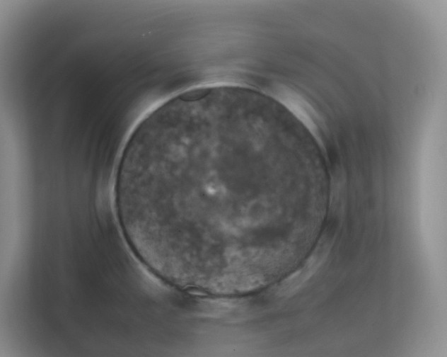 X0000111371197200907311027