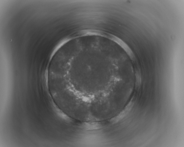 X0000111371198200907311027