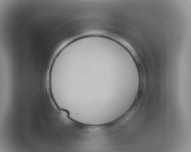 X0000111371199200907311027