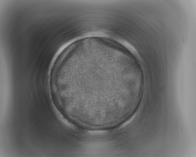 X0000111371200200907311027