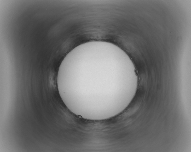 X0000111371202200907311026