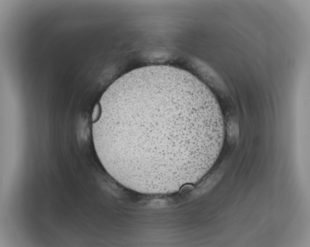 X0000111371204200907311026