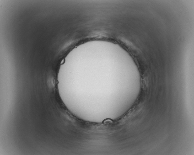 X0000111371206200907311026