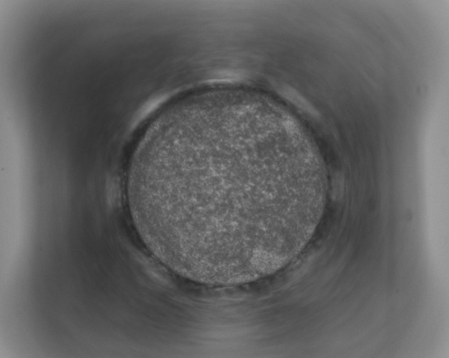 X0000111371208200907311026