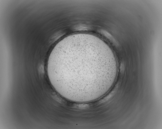 X0000111371209200907311026