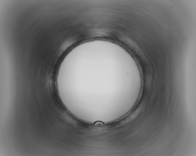 X0000111371210200907311026