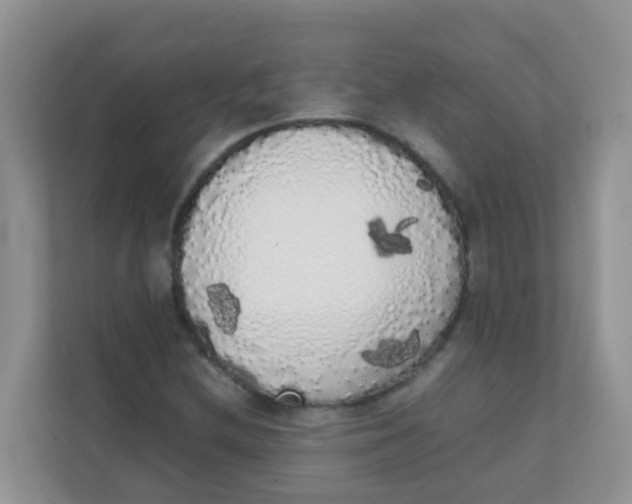 X0000111371212200907311026